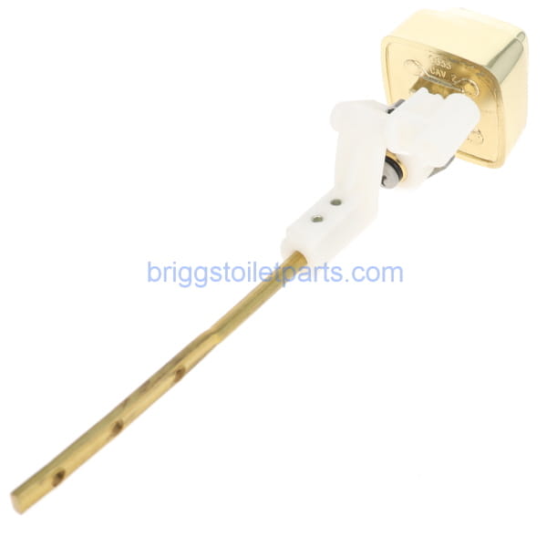 image showing the complete button from the back side