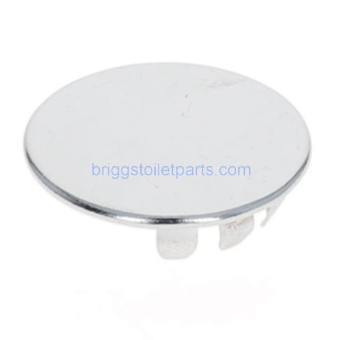 top of the Briggs chrome plug button