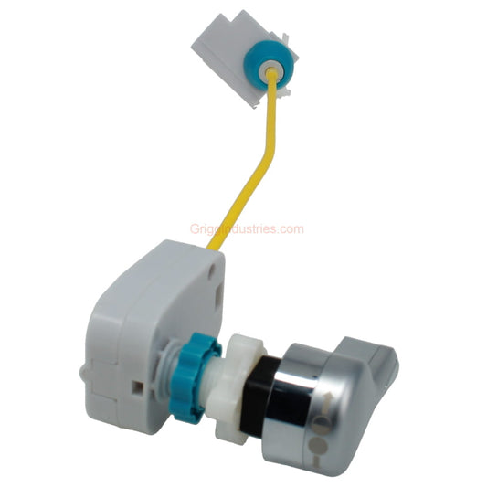 image showing the lever portion, and the arm that would connect to the flush valve